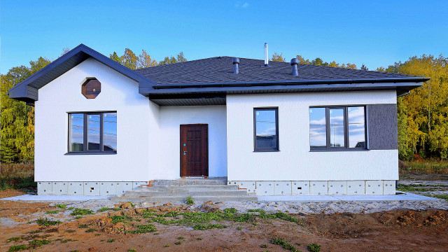 Фиалка Белая
